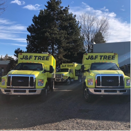 J & F Tree Service